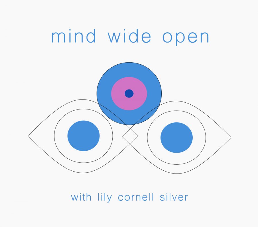 Mind+wide+opened+series+lily+cornell+silver+and+mental+health